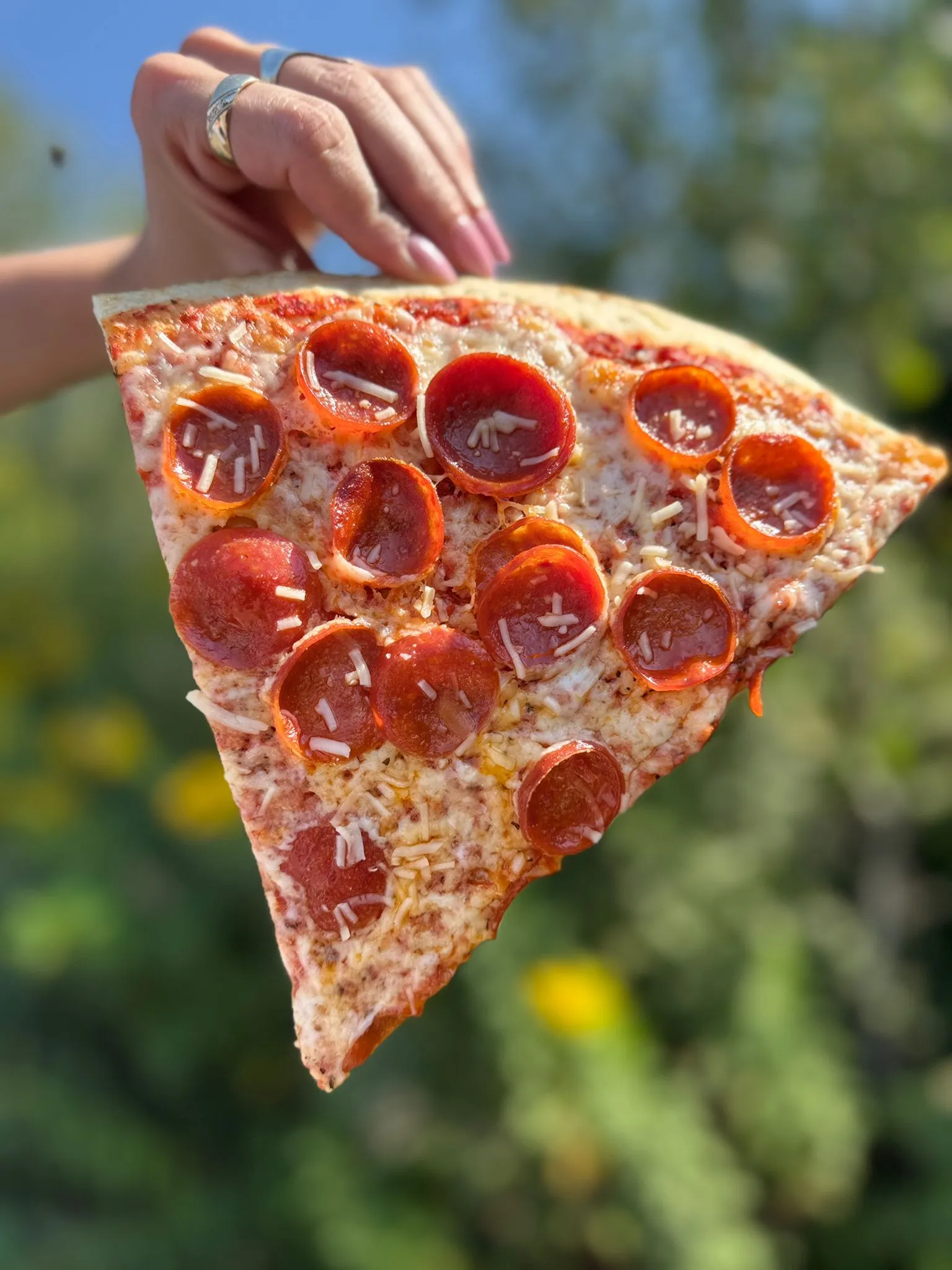 One of our stunningly-massive E-Slices held in front of the blue sky.